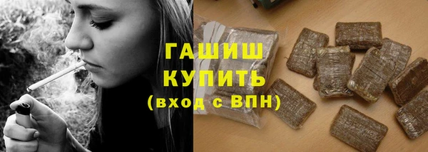 индика Сатка