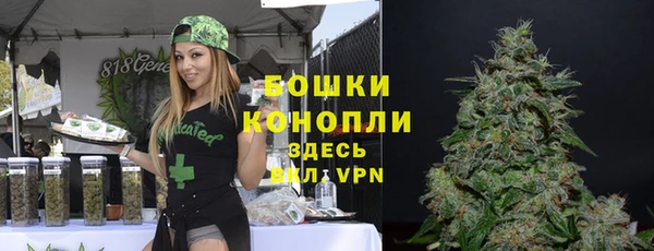 индика Сатка