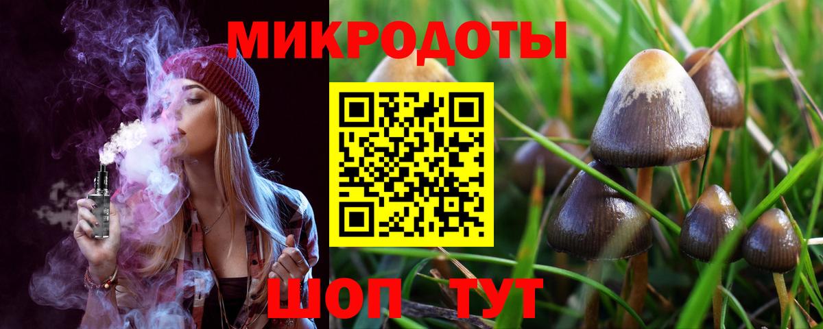 Галлюциногенные грибы Psilocybine cubensis  дарнет шоп  Отрадный  Вход с VPN  Псилоцибиновые грибы ЛСД 